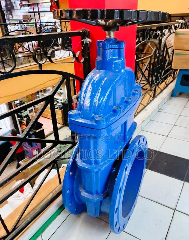 Sluice Valve 8" Inch
