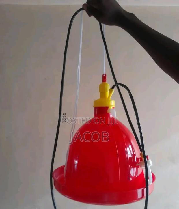 Bell Drinkers - main view