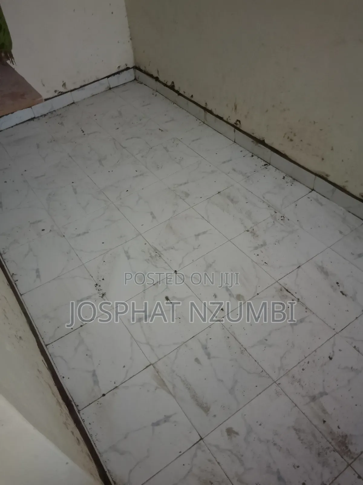 Tiles Professional (Fundi Wa Tiles)