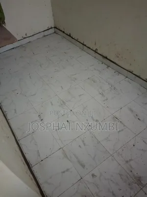 Tiles Professional (Fundi Wa Tiles)