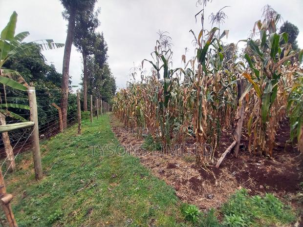 2.22 Ac Land for Sale in Kanunga - thumbnail 4