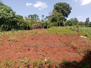 Vacant 0.5 Acre Plot for Sale in Thome - thumbnail 2