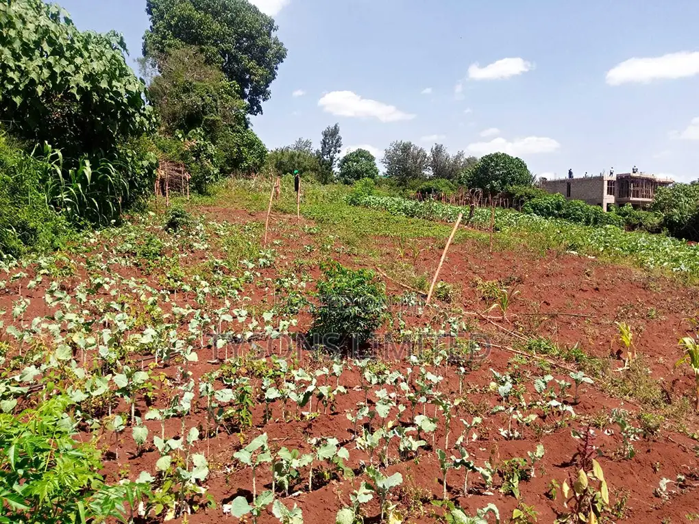 Vacant 0.5 Acre Plot for Sale in Thome