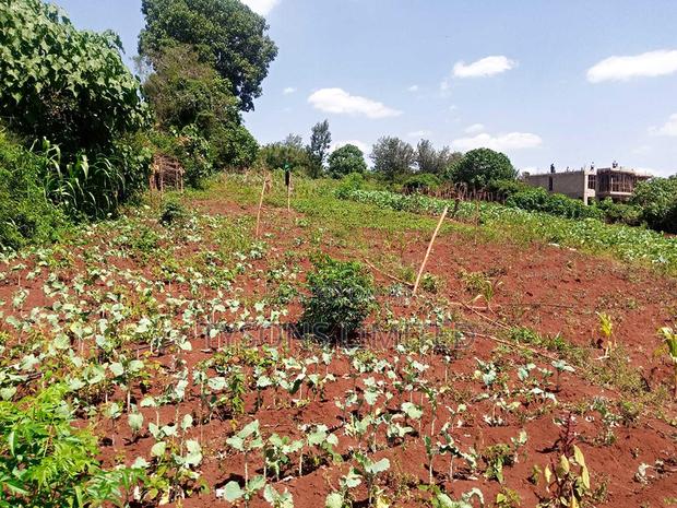 Vacant 0.5 Acre Plot for Sale in Thome - thumbnail 3