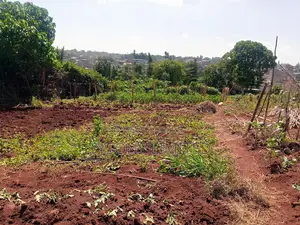 Vacant 0.5 Acre Plot for Sale in Thome