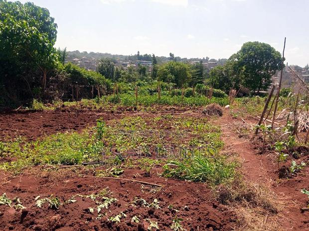 Vacant 0.5 Acre Plot for Sale in Thome - thumbnail 4