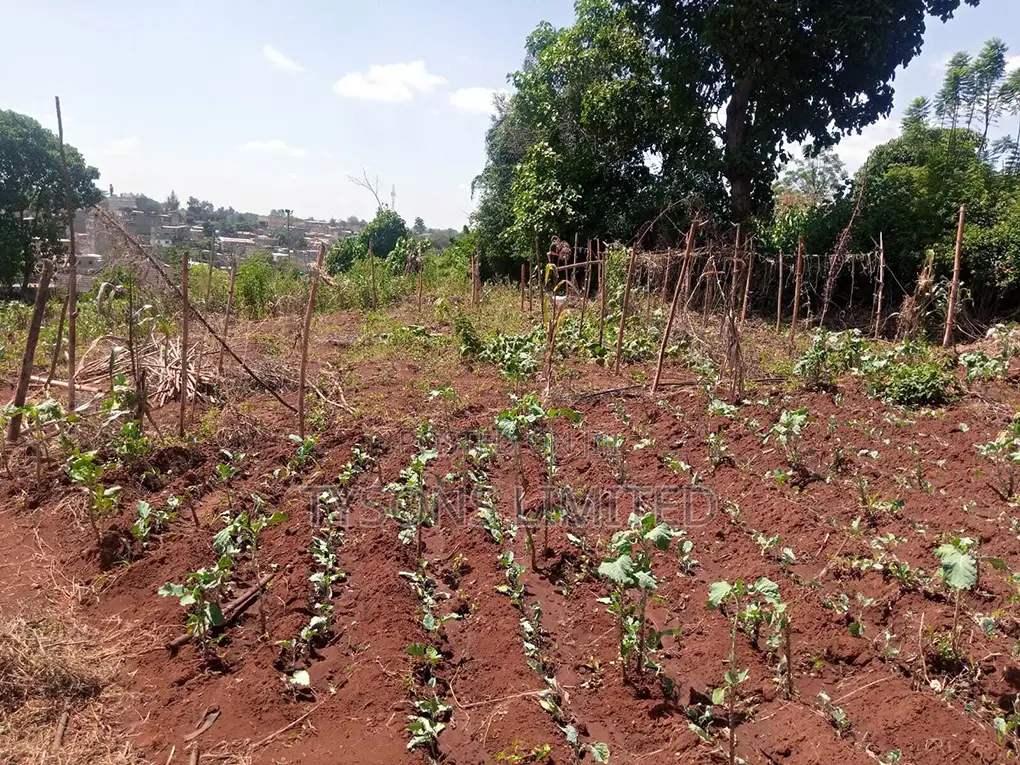 Vacant 0.5 Acre Plot for Sale in Thome