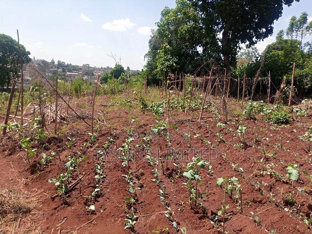 Vacant 0.5 Acre Plot for Sale in Thome - thumbnail 5