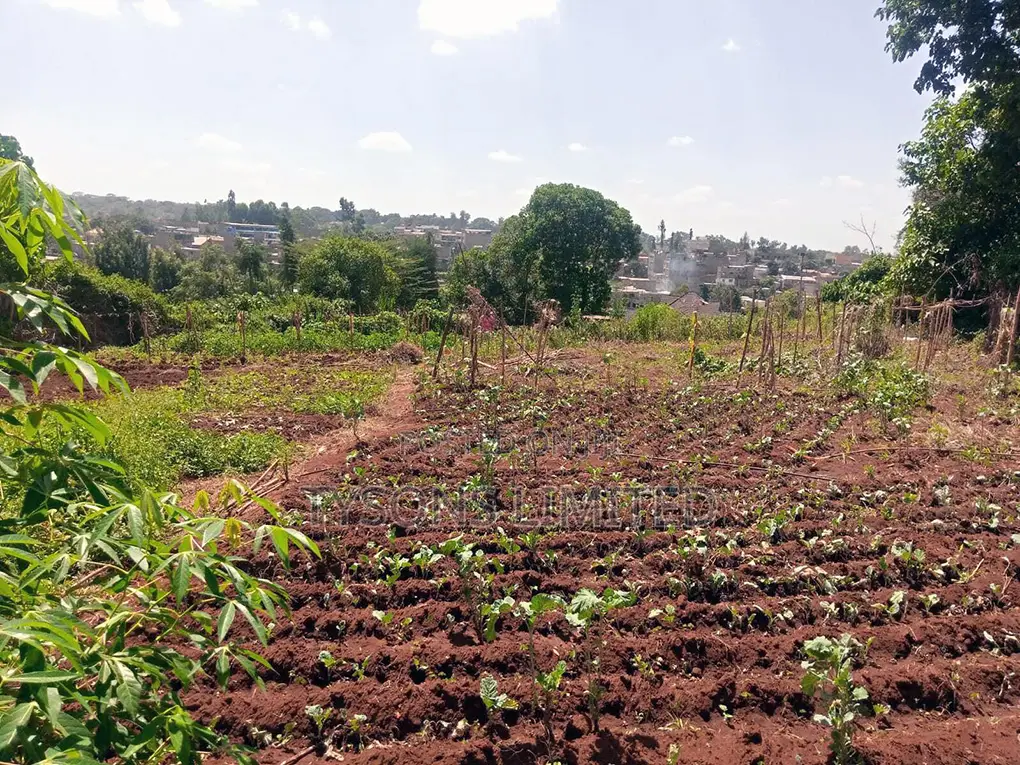 Vacant 0.5 Acre Plot for Sale in Thome