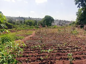 Vacant 0.5 Acre Plot for Sale in Thome