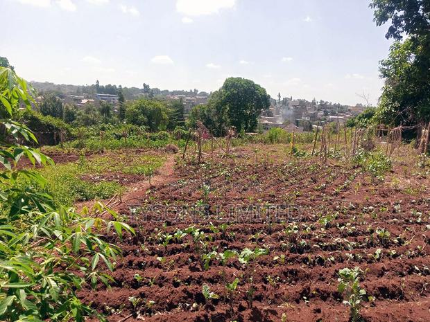 Vacant 0.5 Acre Plot for Sale in Thome - thumbnail 6