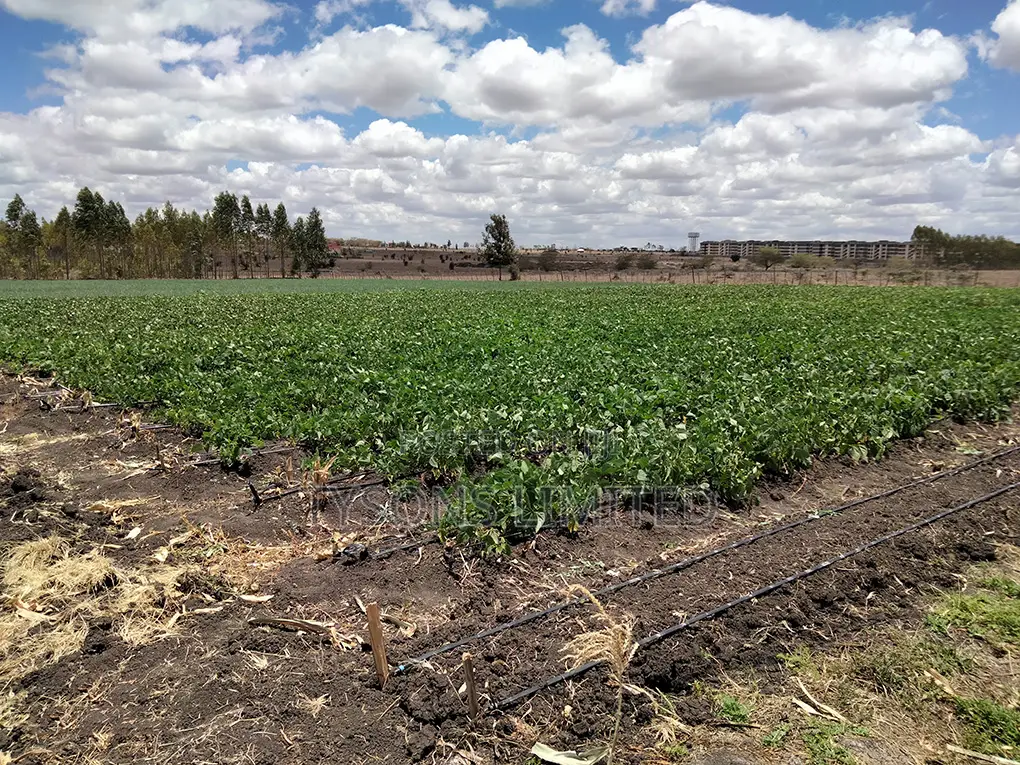 20- Acre Farm for Sale in Kisaju