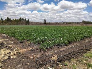 20- Acre Farm for Sale in Kisaju - thumbnail 2