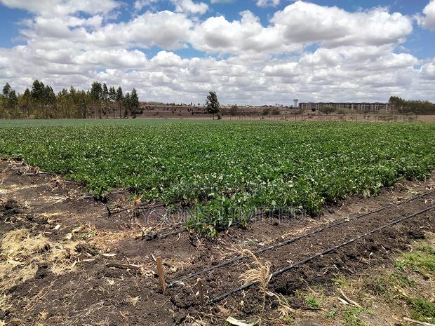 20- Acre Farm for Sale in Kisaju - main view