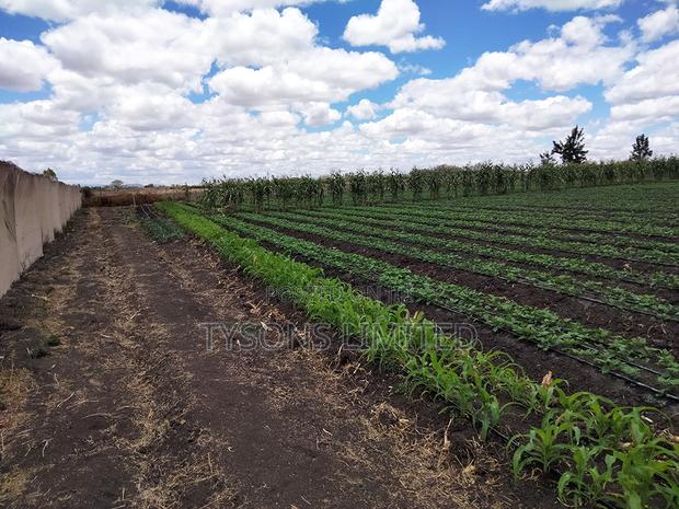 20- Acre Farm for Sale in Kisaju - thumbnail 2