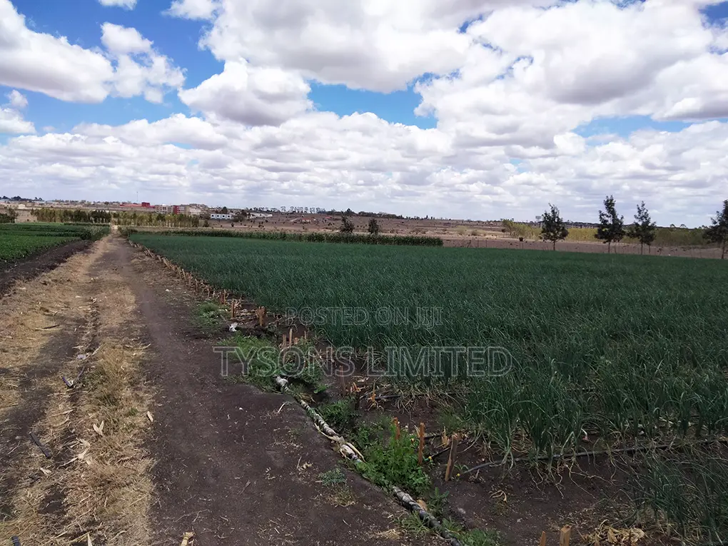 20- Acre Farm for Sale in Kisaju