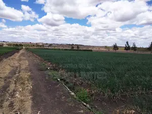 20- Acre Farm for Sale in Kisaju