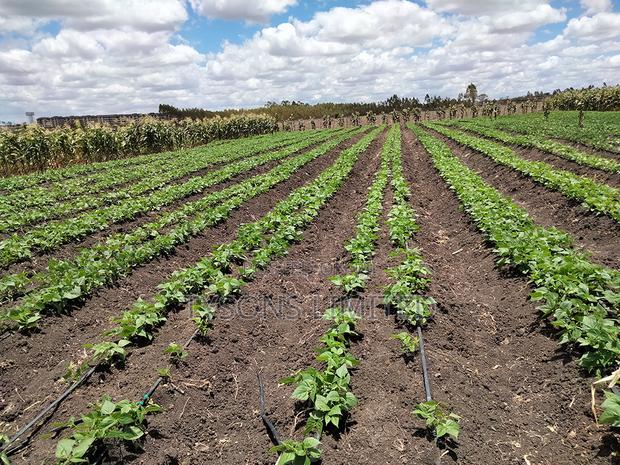 20- Acre Farm for Sale in Kisaju - thumbnail 5