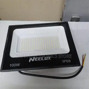 Landscape Security Floodlight 100 Watts Electric Neelux