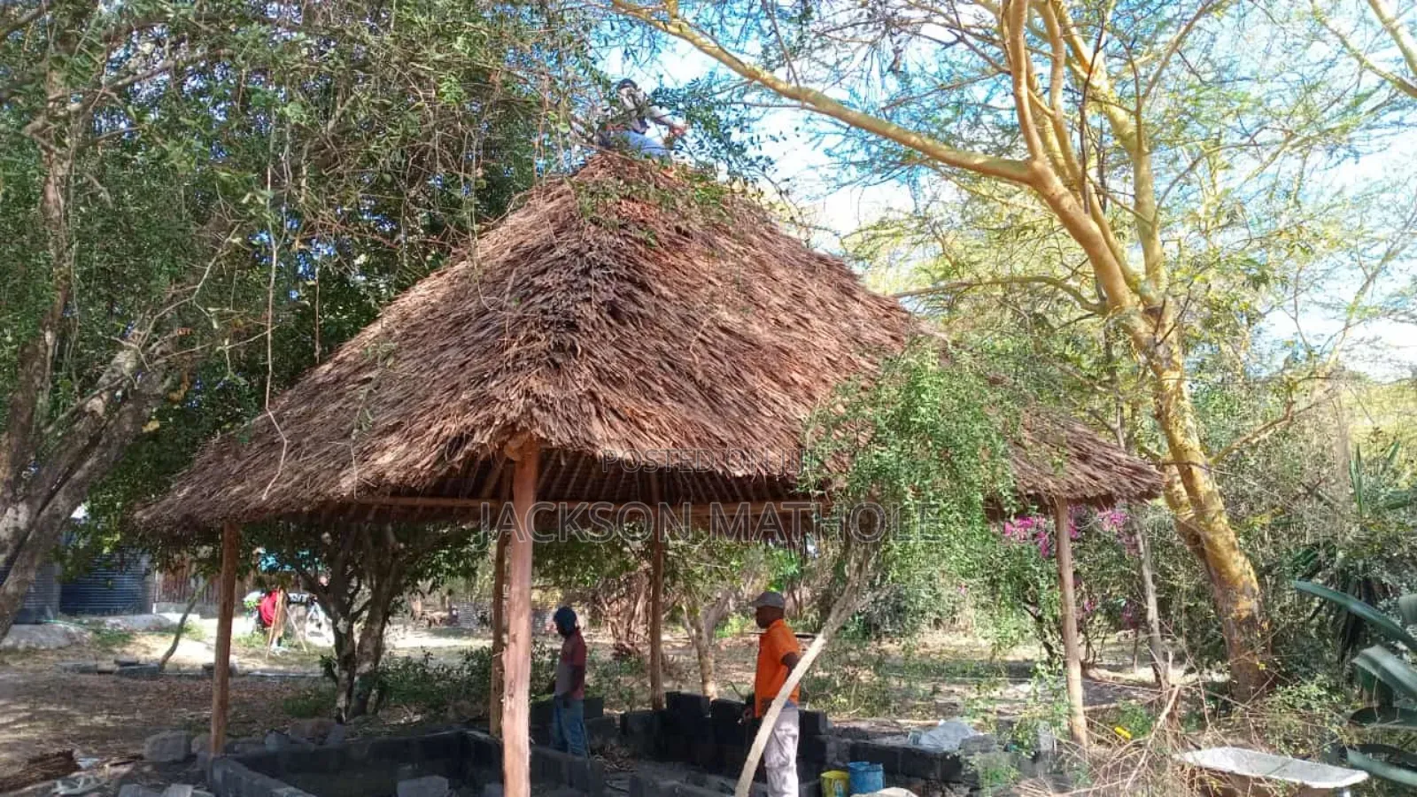 Makuti for Sale