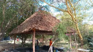 Makuti for Sale