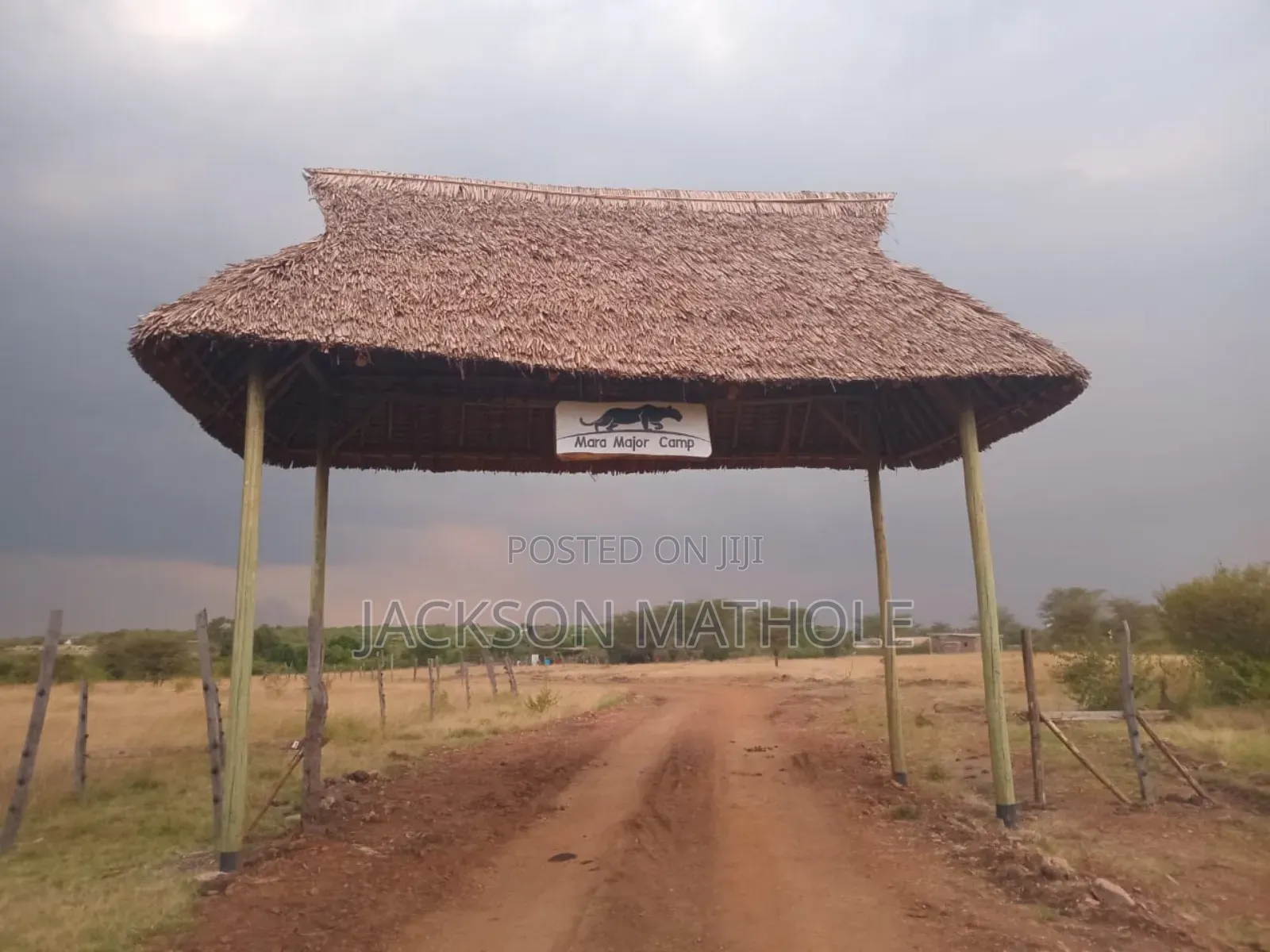 Makuti for Sale