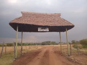Makuti for Sale