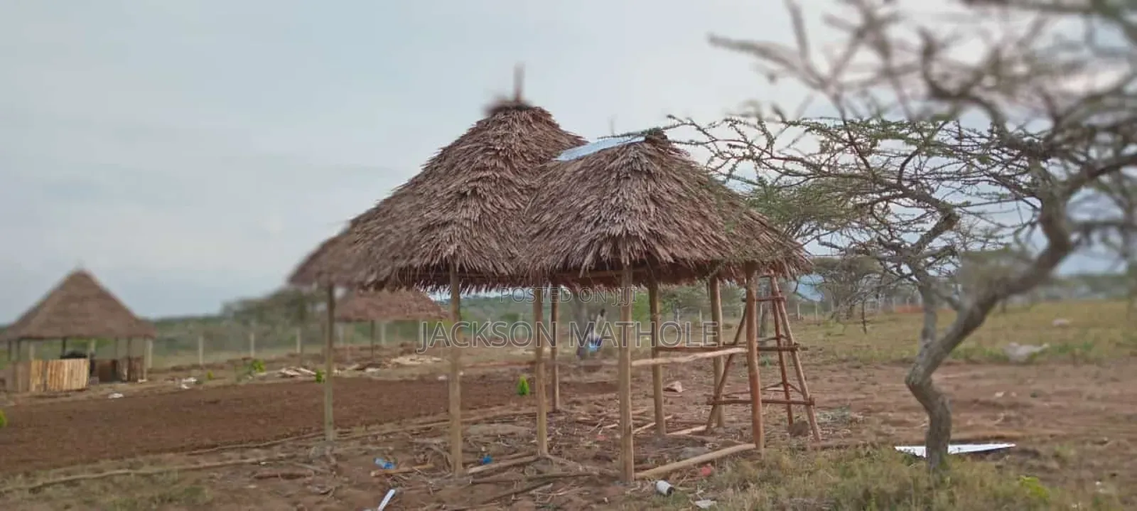 Makuti for Sale