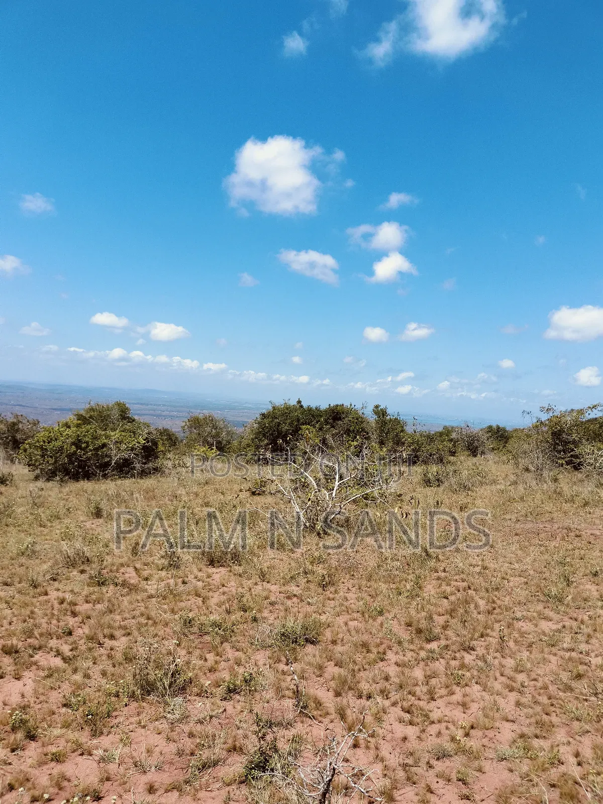 4.5 Acre Golini Ridge Land on Sale!! At
