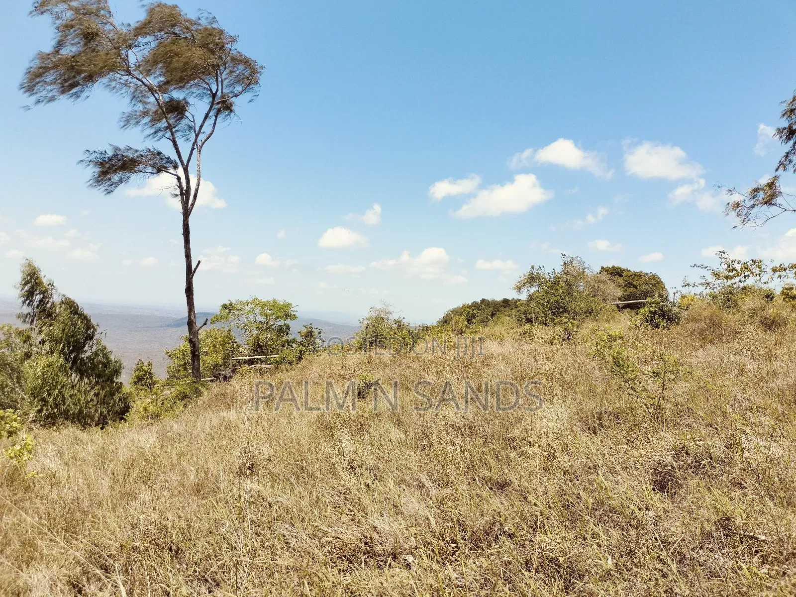 4.5 Acre Golini Ridge Land on Sale!! At