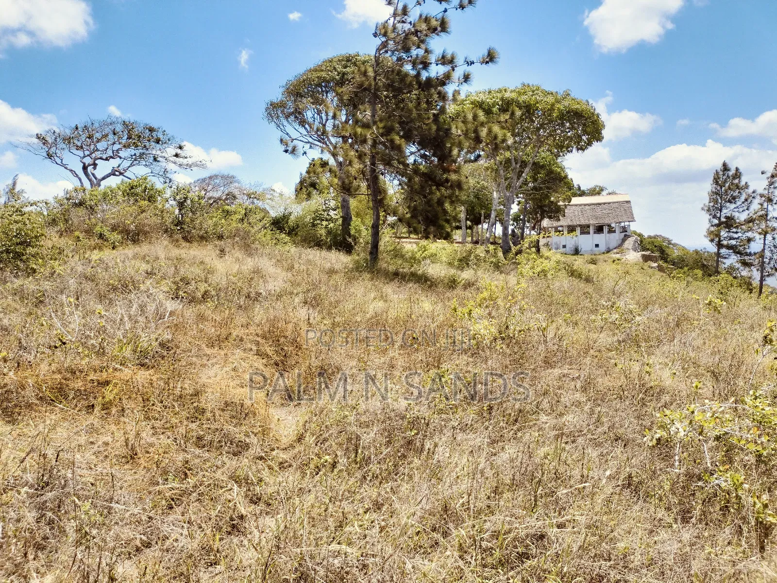 4.5 Acre Golini Ridge Land on Sale!! At