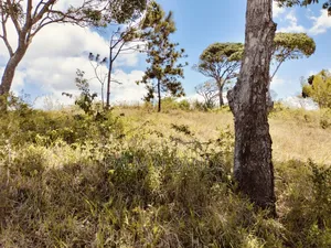 4.5 Acre Golini Ridge Land on Sale!! At