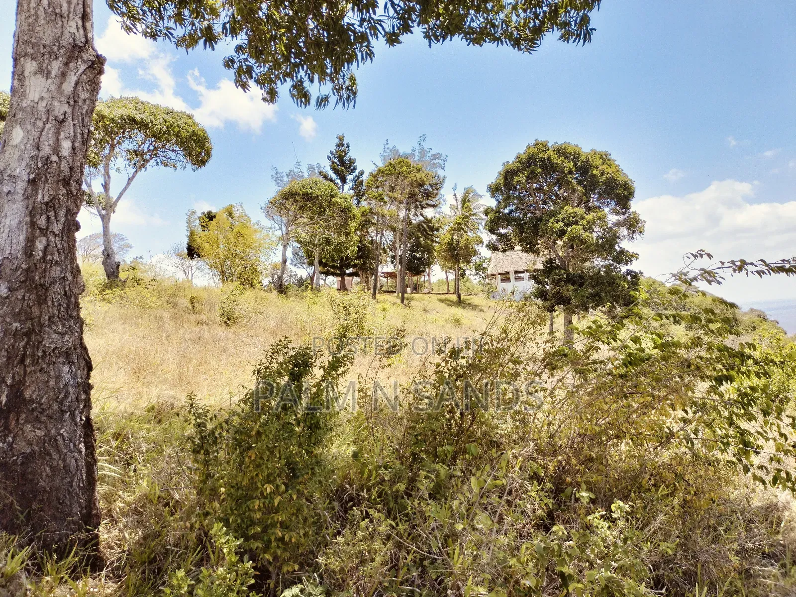 4.5 Acre Golini Ridge Land on Sale!! At