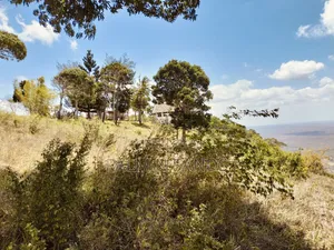 4.5 Acre Golini Ridge Land on Sale!! At
