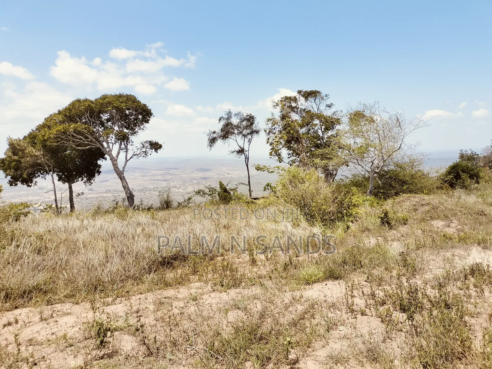 4.5 Acre Golini Ridge Land on Sale!! At