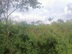 5 Acres Land for Sale at Gem Sirembe in Siaya County.