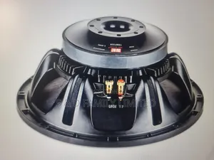 NR 15WF535 Fifteen Inch Naked Speaker