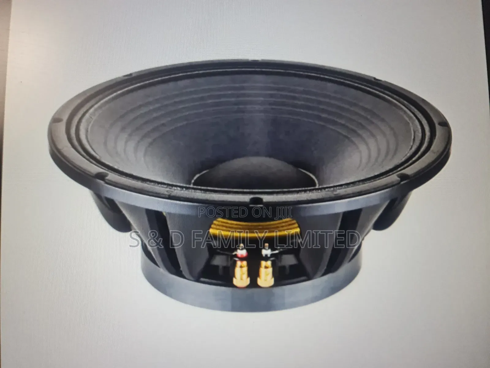 NR 15WF535 Fifteen Inch Naked Speaker