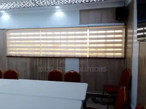 Modern Decor Zebra Roller Blinds