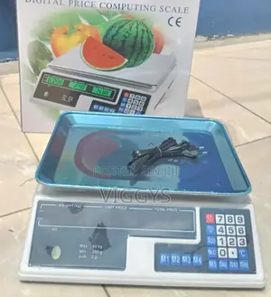 Good Working ACS 40kg Armless Digital Computing Scale AR-09