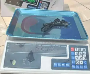 Accurate ACS 40kg Armless Digital Computing Scale