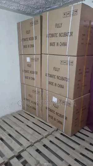 Fully Automatic Egg Incubator, 300eggs Automatic Incubator