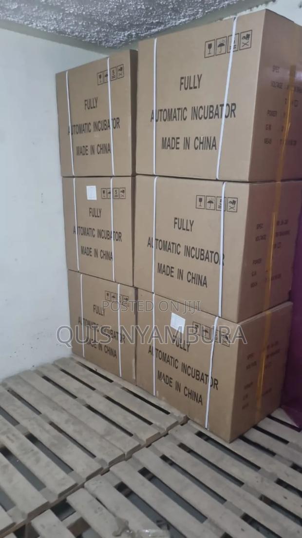 Fully Automatic Egg Incubator, 300eggs Automatic Incubator - main view