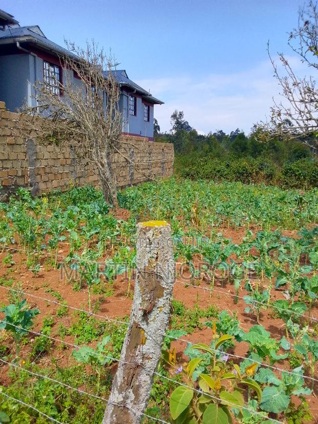 50 by 100 Nyambari, Lari, - thumbnail 3