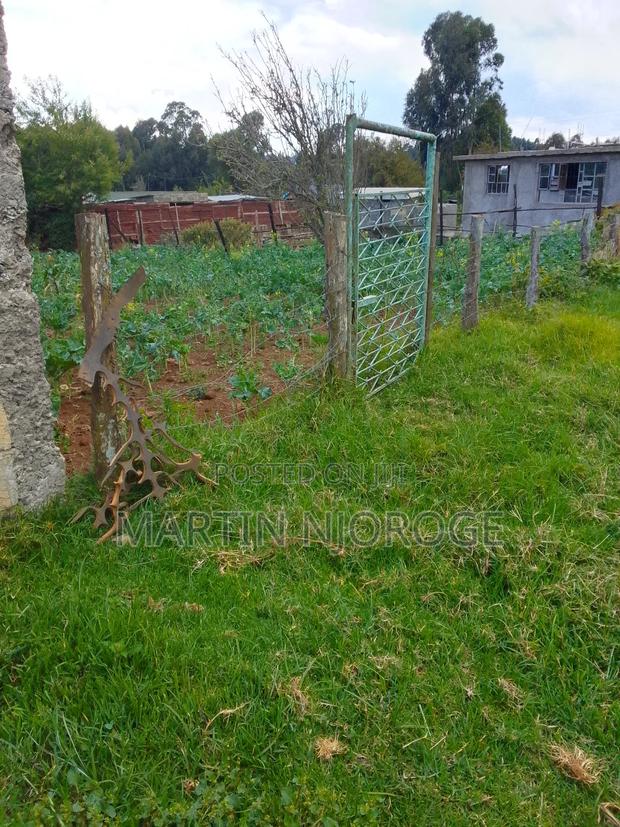 50 by 100 Nyambari, Lari, - thumbnail 5