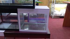 Small Aquarium - thumbnail 2