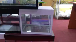 Small Aquarium