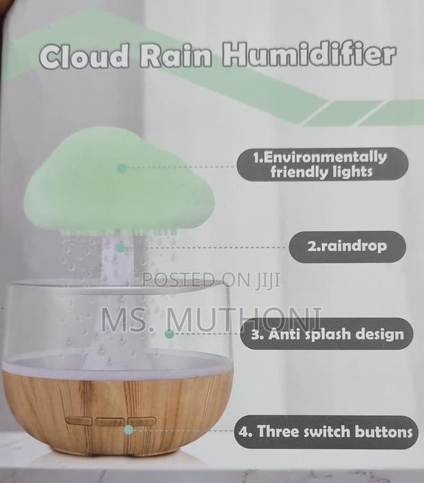 Sound of Rain" Rechargeable CLOUD RAIN HUMIDIFIER - thumbnail 2