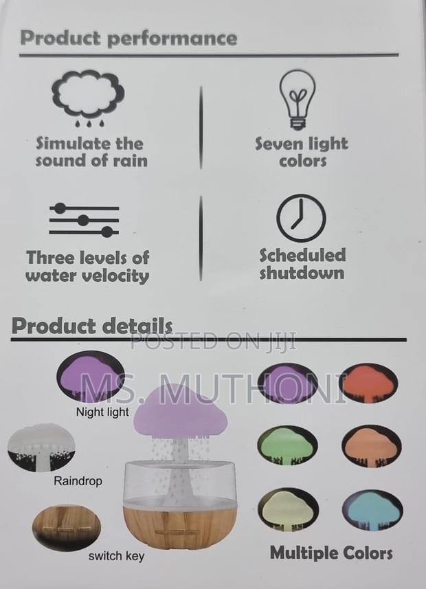 Sound of Rain" Rechargeable CLOUD RAIN HUMIDIFIER - thumbnail 5