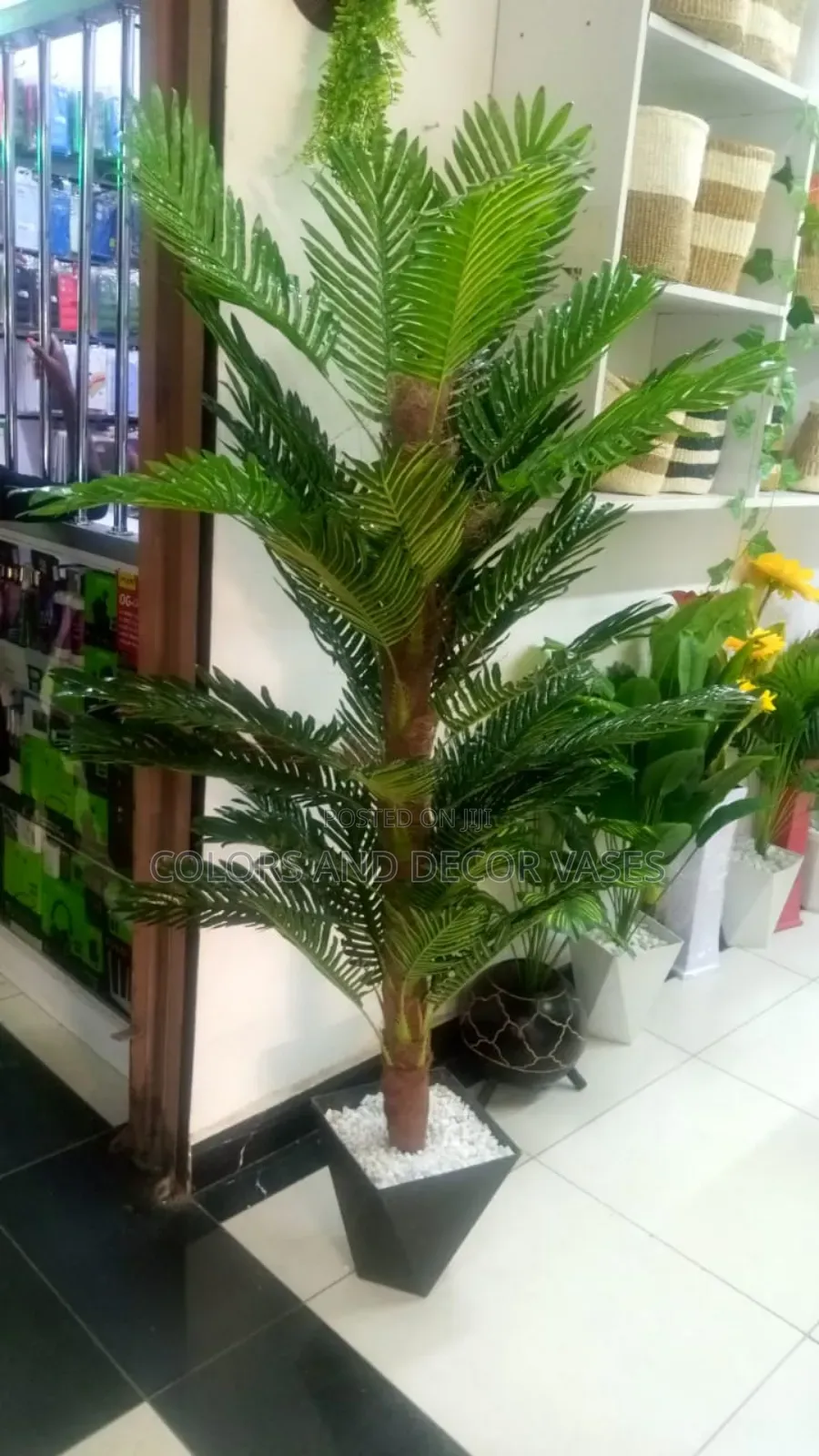 1.8m Long Palm Tree in Stock